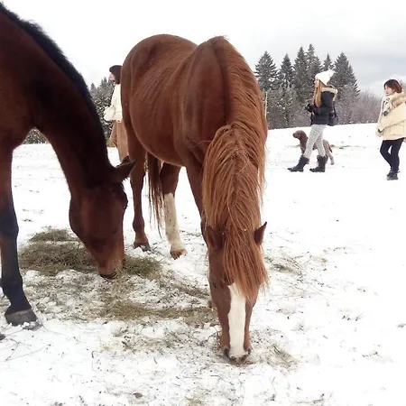 Vikendica Mountain House Mala Reka